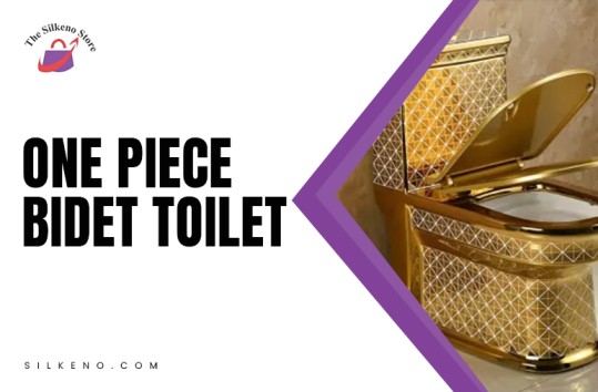 One Piece Bidet Toilet